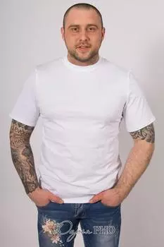 Футболка мужская iv51430