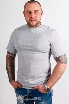 Футболка мужская iv51432