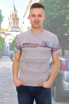 Футболка мужская iv60904