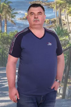 Футболка мужская iv62375