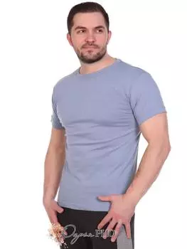 Футболка мужская iv62673