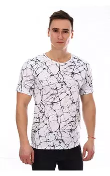 Футболка мужская iv63326