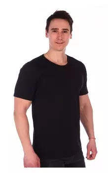 Футболка мужская iv63359