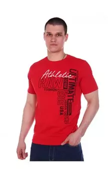 Футболка мужская iv63395