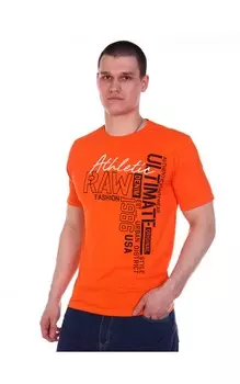 Футболка мужская iv63396