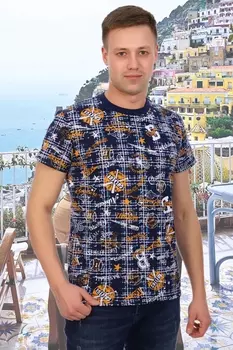 Футболка мужская iv63693