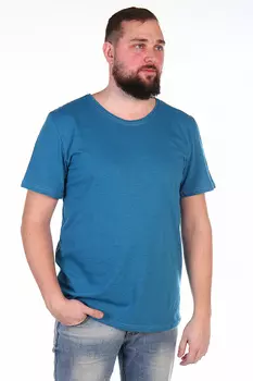 Футболка мужская iv64044