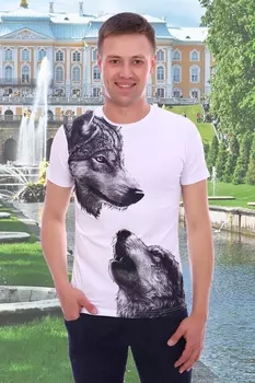 Футболка мужская iv64316