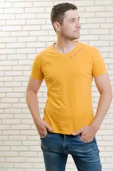 Футболка мужская iv65716