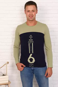 Футболка мужская iv68437