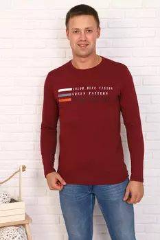 Футболка мужская iv68439