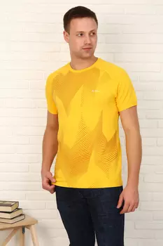 Футболка мужская iv70209