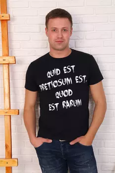 Футболка мужская iv71410