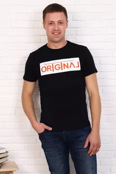 Футболка мужская iv72043