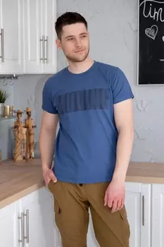 Футболка мужская iv72280