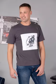 Футболка мужская iv72506