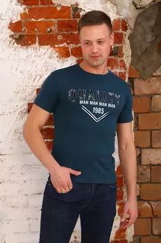 Футболка мужская iv72509