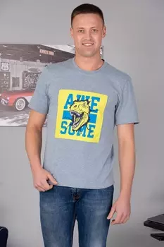 Футболка мужская iv72528