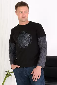 Футболка мужская iv73062