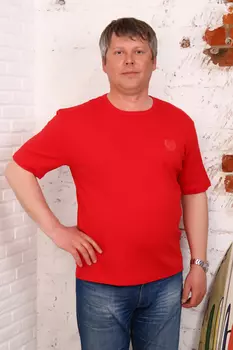 Футболка мужская iv73077