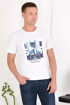 Футболка мужская iv73381