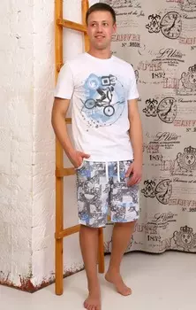 Футболка мужская iv73390