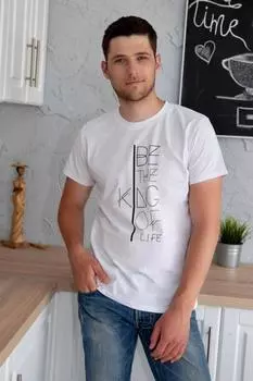 Футболка мужская iv74021