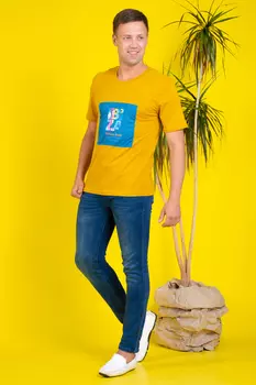 Футболка мужская iv76202