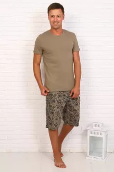 Футболка мужская iv77034