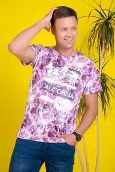 Футболка мужская iv77055