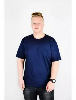 Футболка мужская iv81883