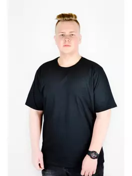 Футболка мужская iv81884