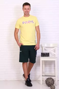 Футболка мужская iv85354