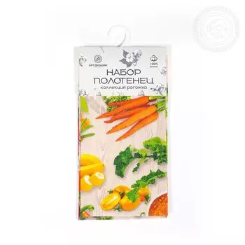 Набор из 2 кухонных полотенец iv65780 45х60