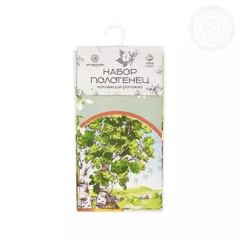 Набор из 2 кухонных полотенец iv67342 45х60