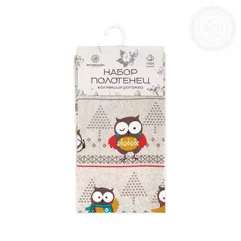 Набор из 2 кухонных полотенец iv67346 45х60