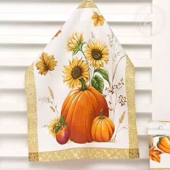 Набор из 3 кухонных полотенец iv48085 45х60