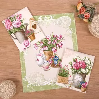 Набор из 3 кухонных полотенец iv63161 45х60