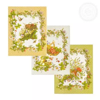 Набор из 3 кухонных полотенец iv65017 45х60