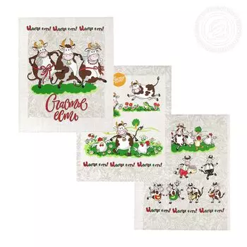 Набор из 3 кухонных полотенец iv65783 45х60