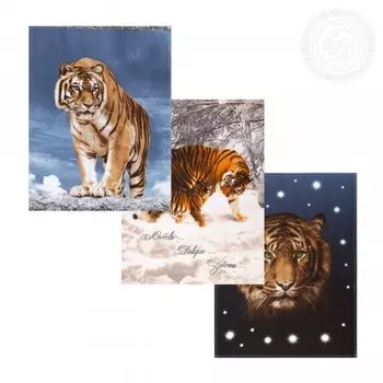 Набор из 3 кухонных полотенец iv79868 45х60