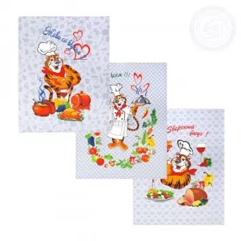 Набор из 3 кухонных полотенец iv79871 45х60