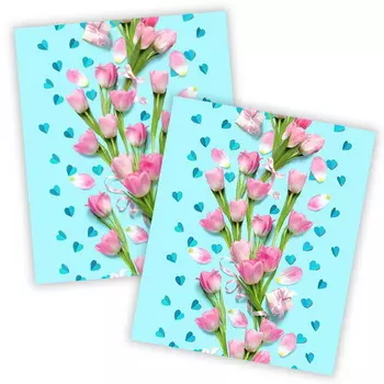 Набор кухонных полотенец iv71783 (упаковка 2 штуки) 50х60