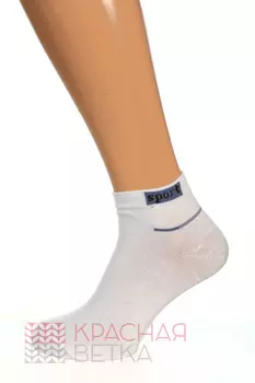 Носки мужские iv46485 (упаковка 10 пар)