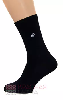 Носки мужские iv46489 (упаковка 10 пар)