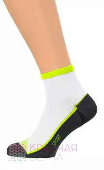 Носки мужские iv46493 (упаковка 10 пар)