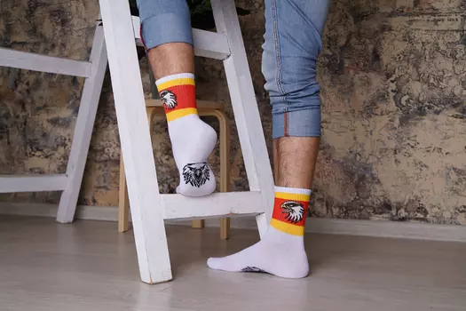 Носки мужские iv52667 (упаковка 6 пар)