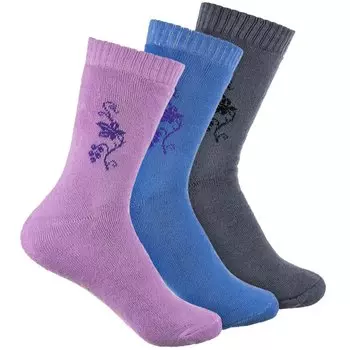 Носки женские iv4782 (упаковка 12 пар) 36-41