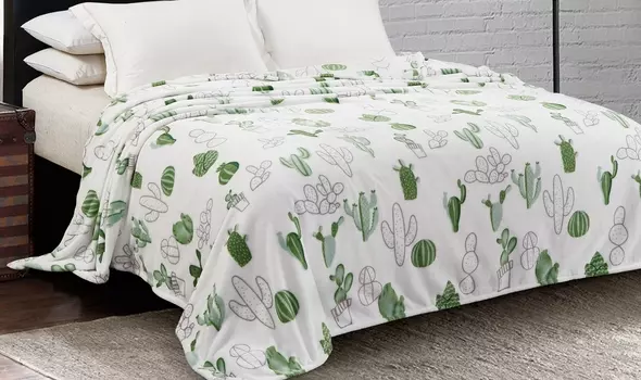 Плед iv74830 (велсофт) 180х200