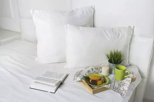 Подушка iv22220 (лебяжий пух) 38*38